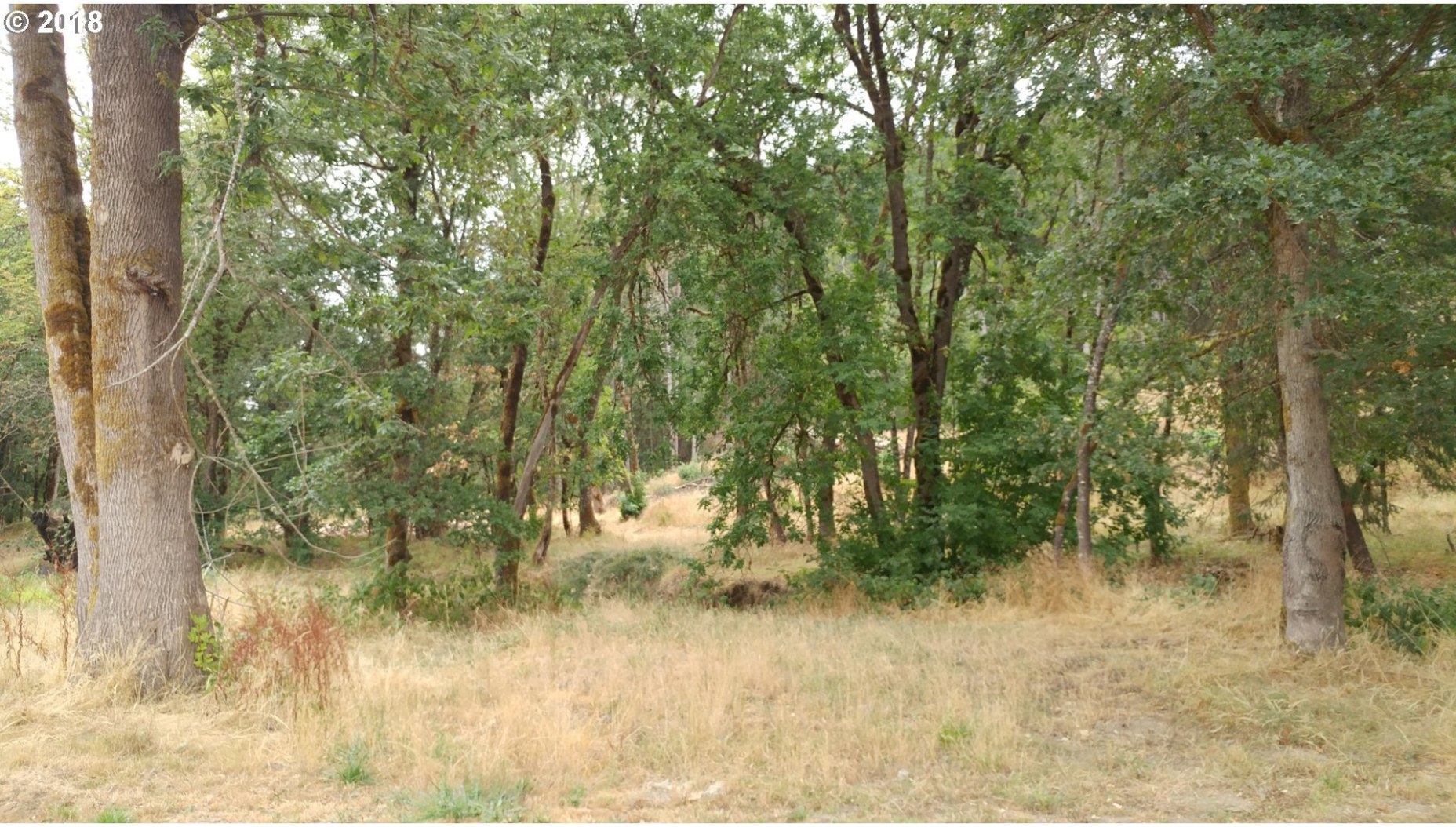 1228 Larson Road Roseburg, OR 97471 - Photo 2 of 22 Gallery Image 2
