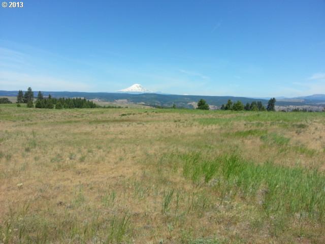 Schilling Road, Unit 114 Lyle, WA 98635 - Photo 7 of 8 Gallery Image 7