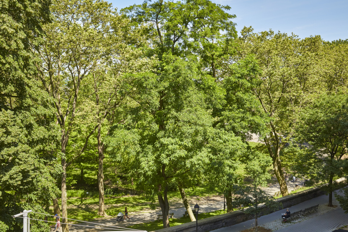 86 Riverside Drive Manhattan, NY 10024 - Photo 14 of 17