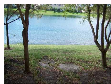9318 Southwest 222nd Way Miami, FL 33190 - Photo 16 of 16