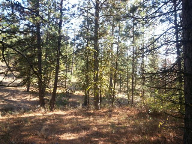 Pine Creek Road, Unit 5 Roosevelt, WA 99356 - Photo 12 of 16 Gallery Image 12