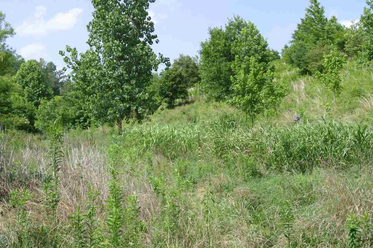 232 Beasley Hollow Road Linden, TN 37096 - Photo 8 of 14 Gallery Image 8