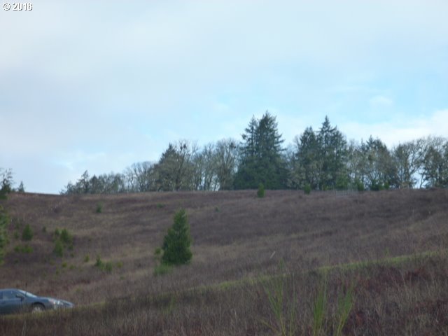 0 Brad Road Oakland, OR 97462 - Photo 3 of 10 Gallery Image 3