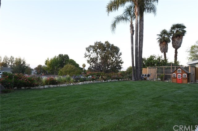 12 Harbor Sight Drive Rolling Hills Estates, CA 90274 - Photo 33 of 56 What a super yard! So private and tranquil! Sits perched above the homes in the neighborhood, and offers city lights views, too! In the background is the custom chicken coop...hard to imagine loving a chicken coop, but you will! :)