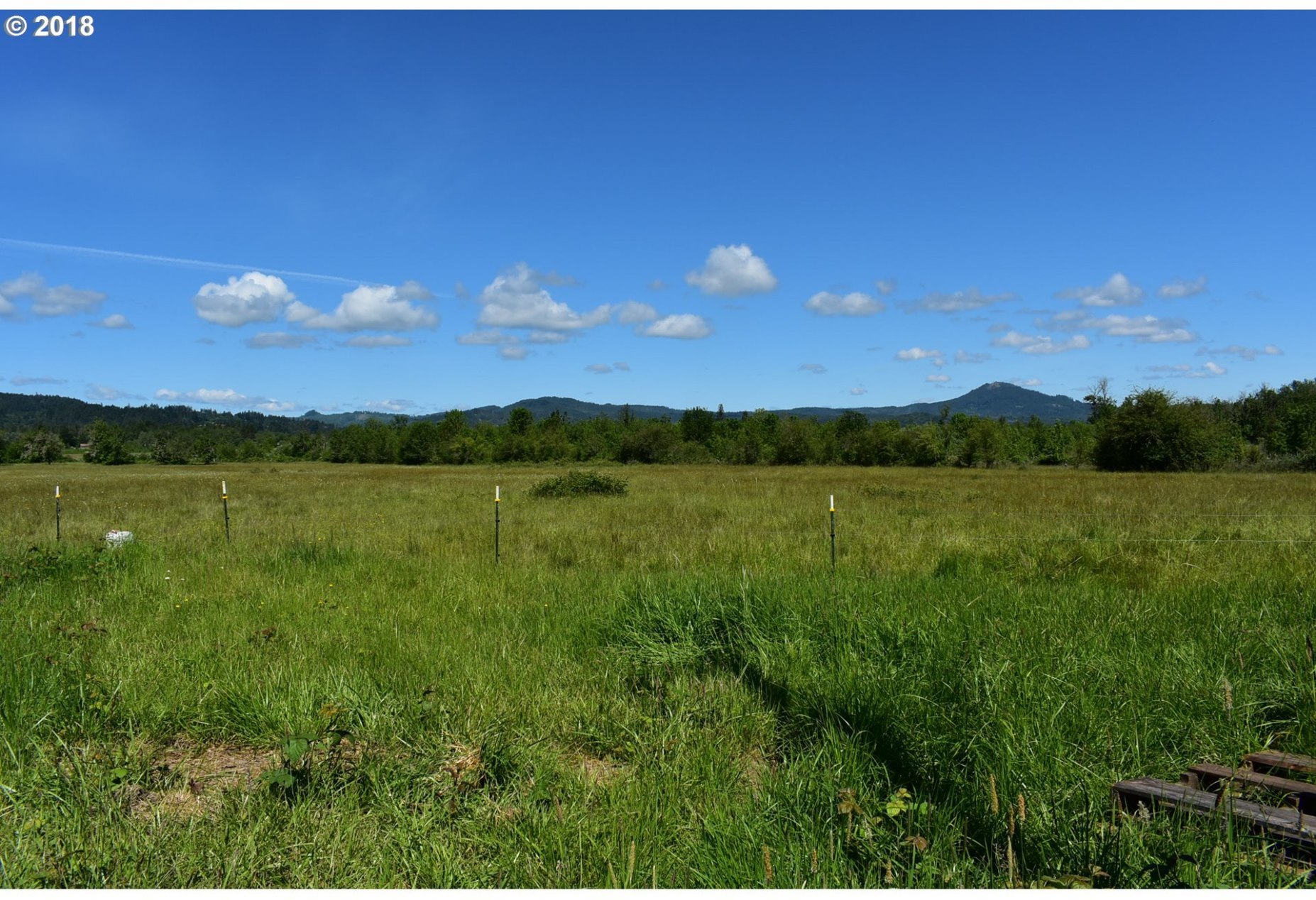 82686 Butte Road Creswell, OR 97426 - Photo 3 of 9 Gallery Image 3