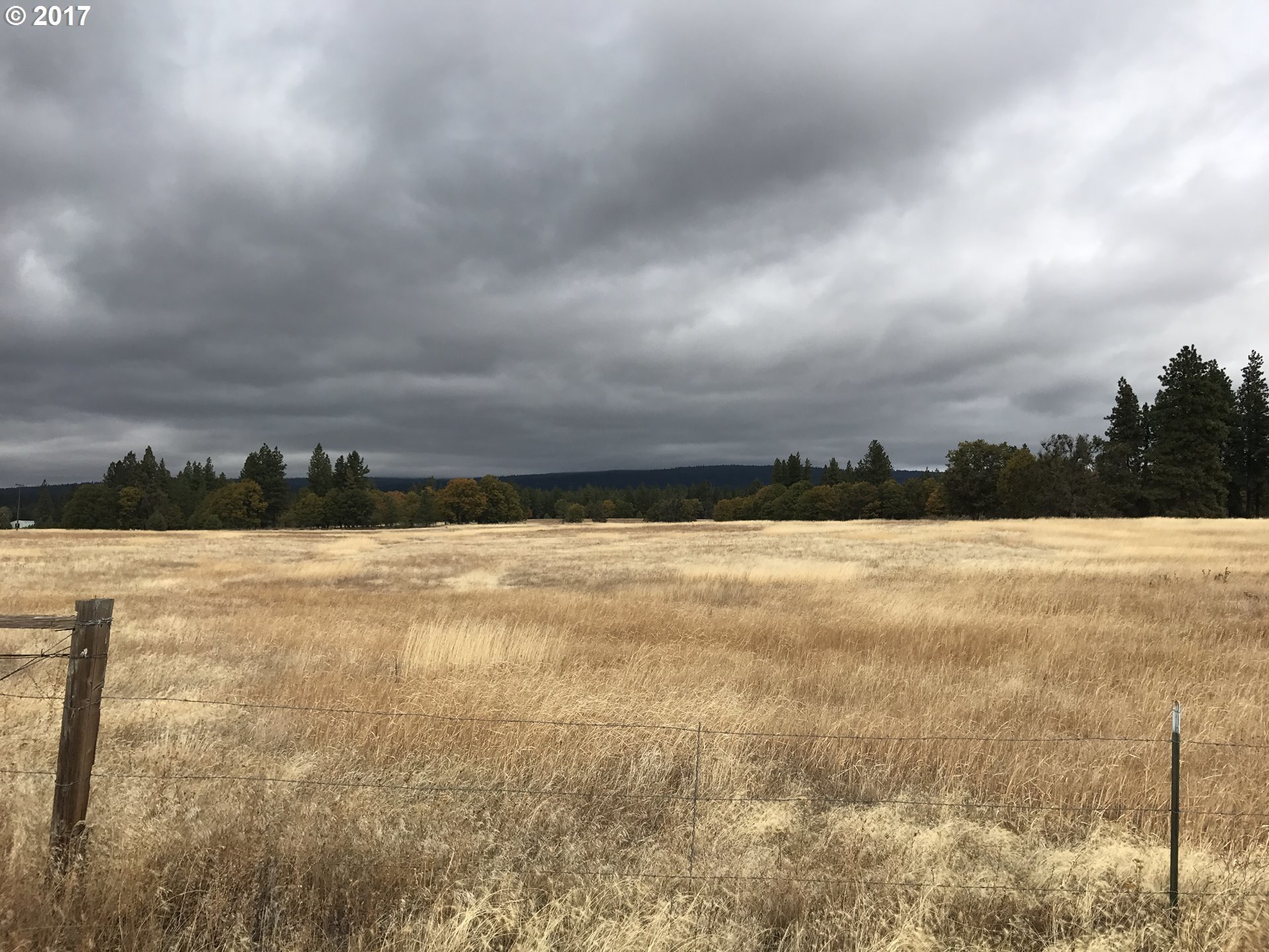 310 Orchard Heights Road Goldendale, WA 98620 - Photo 11 of 28 Gallery Image 11