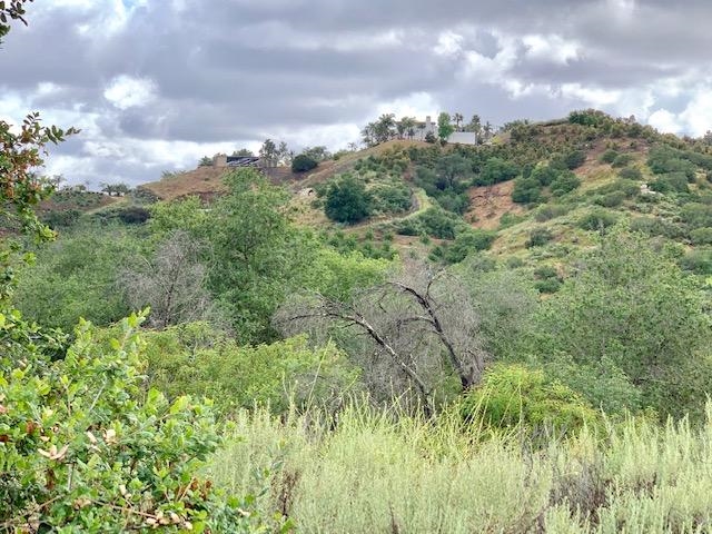 Camino Rainbow Fallbrook Ca Fallbrook, CA 92028 - Photo 8 of 25