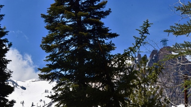 1739 Sandy Way Olympic Valley, CA 96146 - Photo 5 of 8