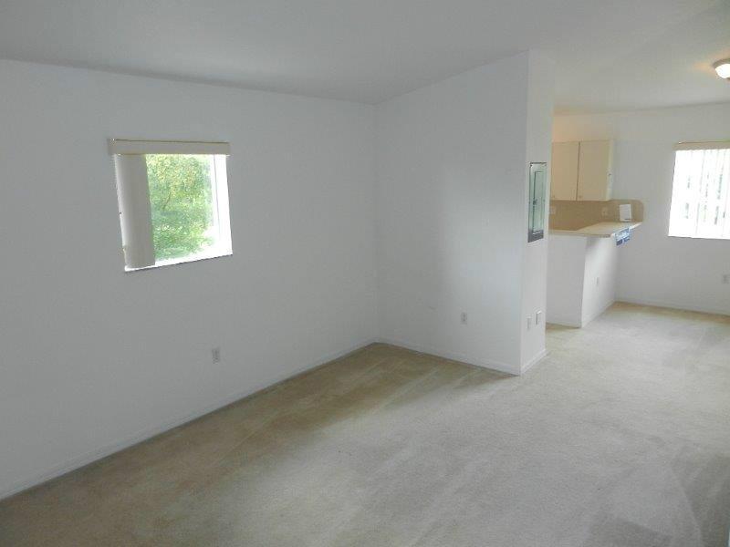 3385 Northeast 10th Street, Unit 201 Homestead, FL 33033 - Photo 4 of 22
