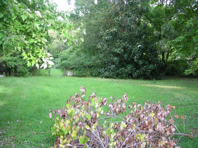 4044 Fonta Road Bartlett, TN 38002 - Photo 5 of 5 Gallery Image 5