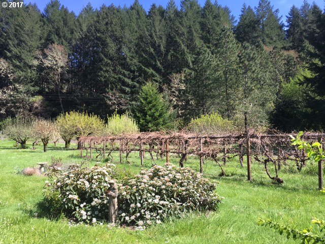 4775 Henderer Road Elkton, OR 97436 - Photo 9 of 32