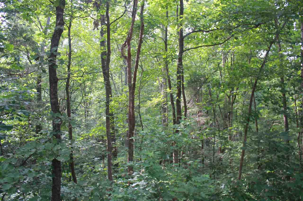 203 Cathy Road Holly Springs, MS 38635 - Photo 16 of 25 Gallery Image 16