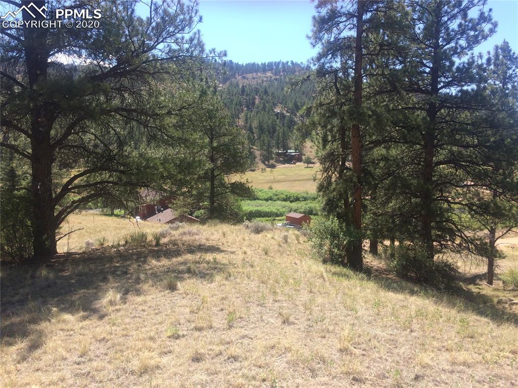159 East Platte Road Lake George, CO 80827 - Photo 2 of 9