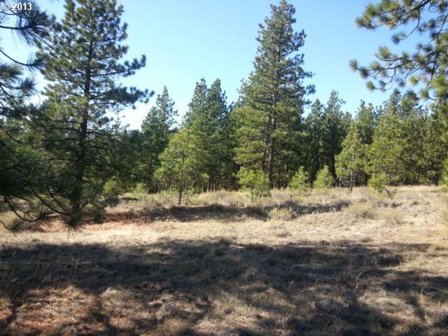 Pine Creek Road, Unit 5 Roosevelt, WA 99356 - Photo 10 of 16 Gallery Image 10