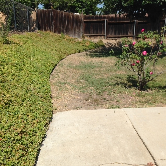 514 Broadview Street Spring Valley, CA 91977 - Photo 15 of 20 Gallery Image 15