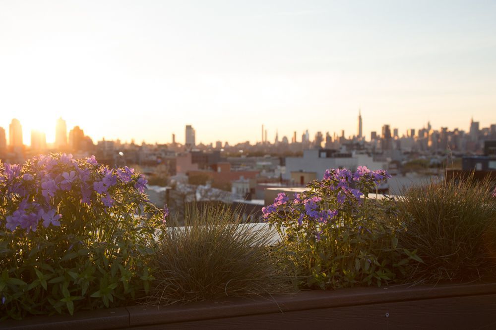 179 Woodpoint Road, Unit 4A Brooklyn, NY 11211 - Photo 8 of 9