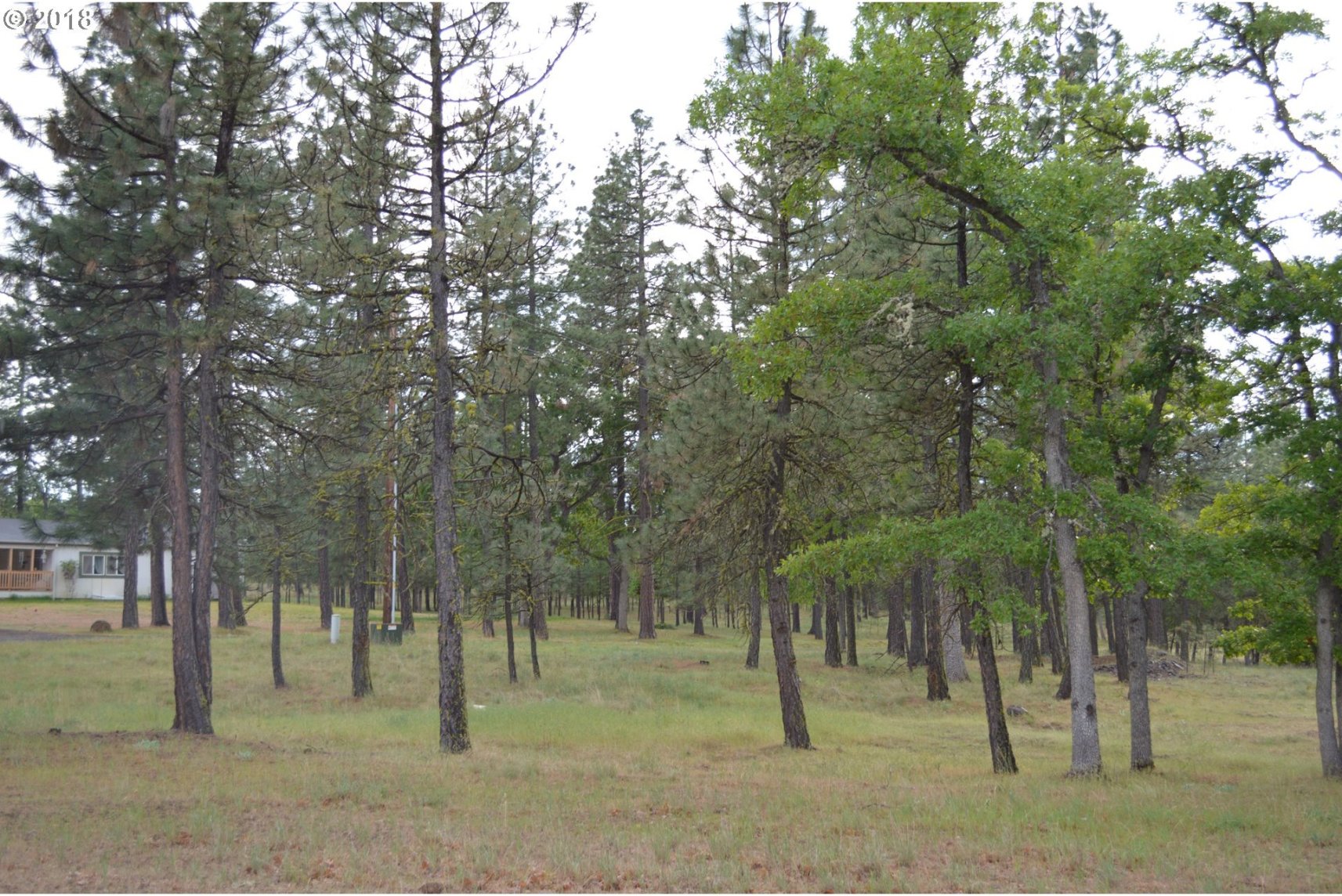 426 Woodland Road Goldendale, WA 98620 - Photo 23 of 32 Gallery Image 23
