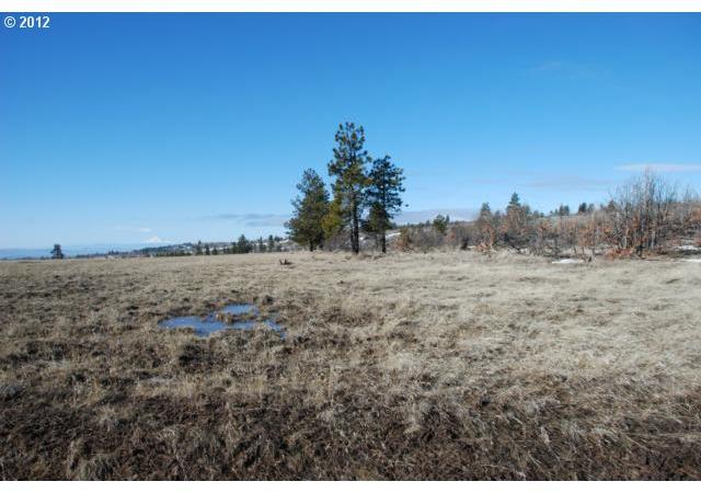 Jensen Quarry Road, Unit 62 Roosevelt, WA 99356 - Photo 4 of 12 Gallery Image 4
