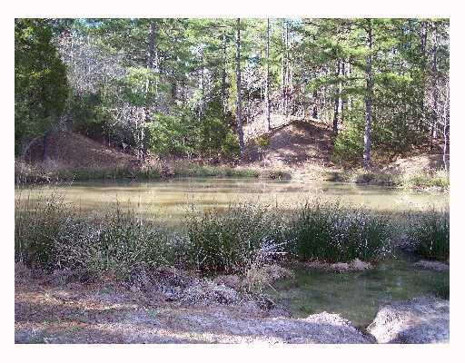 15370 Sain Road Middleton, TN 38052 - Photo 5 of 6 Here is the largest of the three "SPRING" fed ponds. I can see that bobber dancing!!!