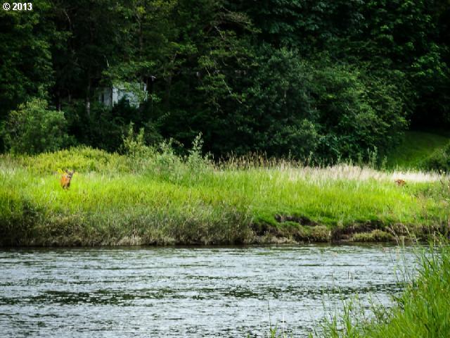 2605 Lewis River Road Woodland, WA 98674 - Photo 12 of 16 Gallery Image 12