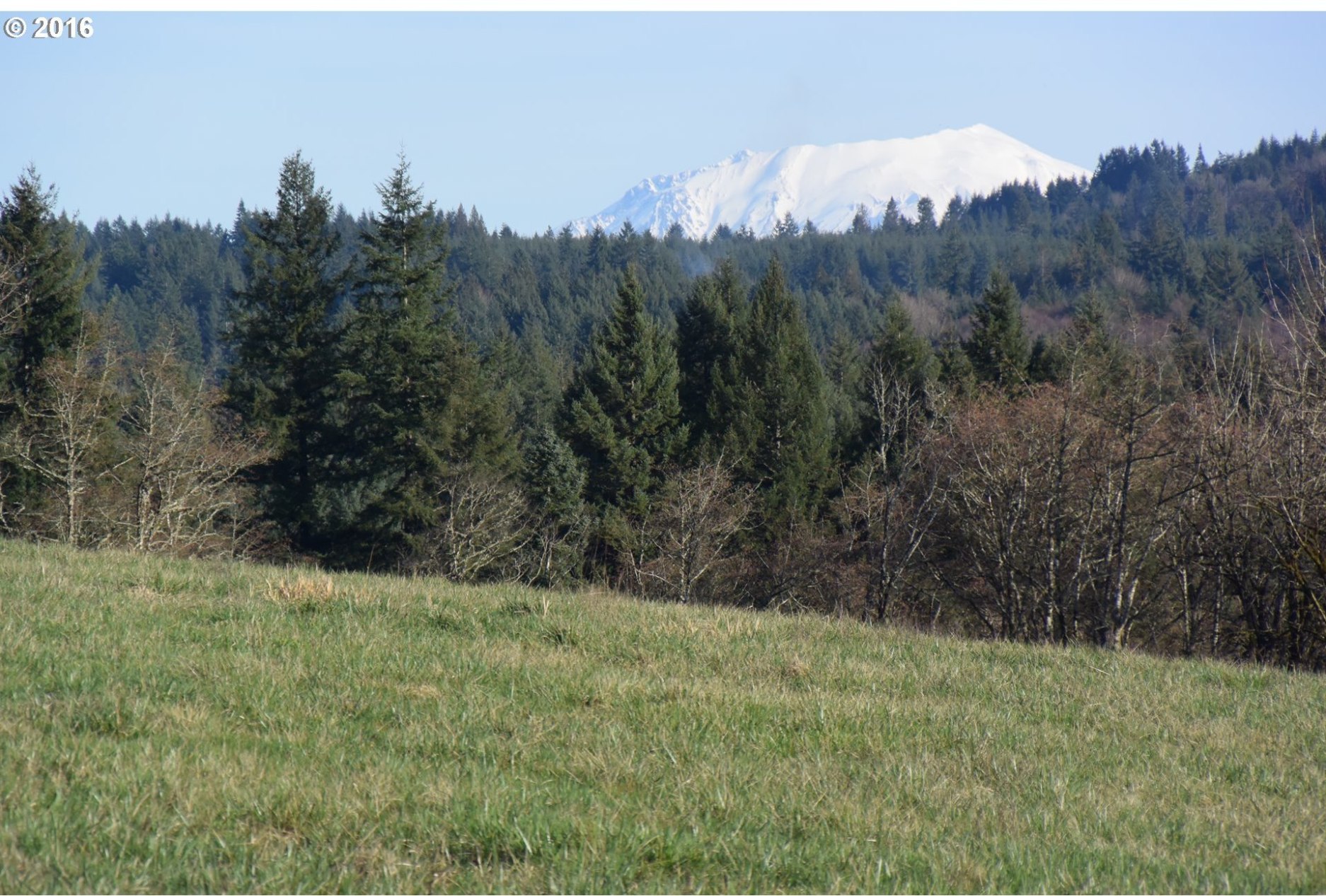Chapman Road Castle Rock, WA 98611 - Photo 2 of 15 Gallery Image 2
