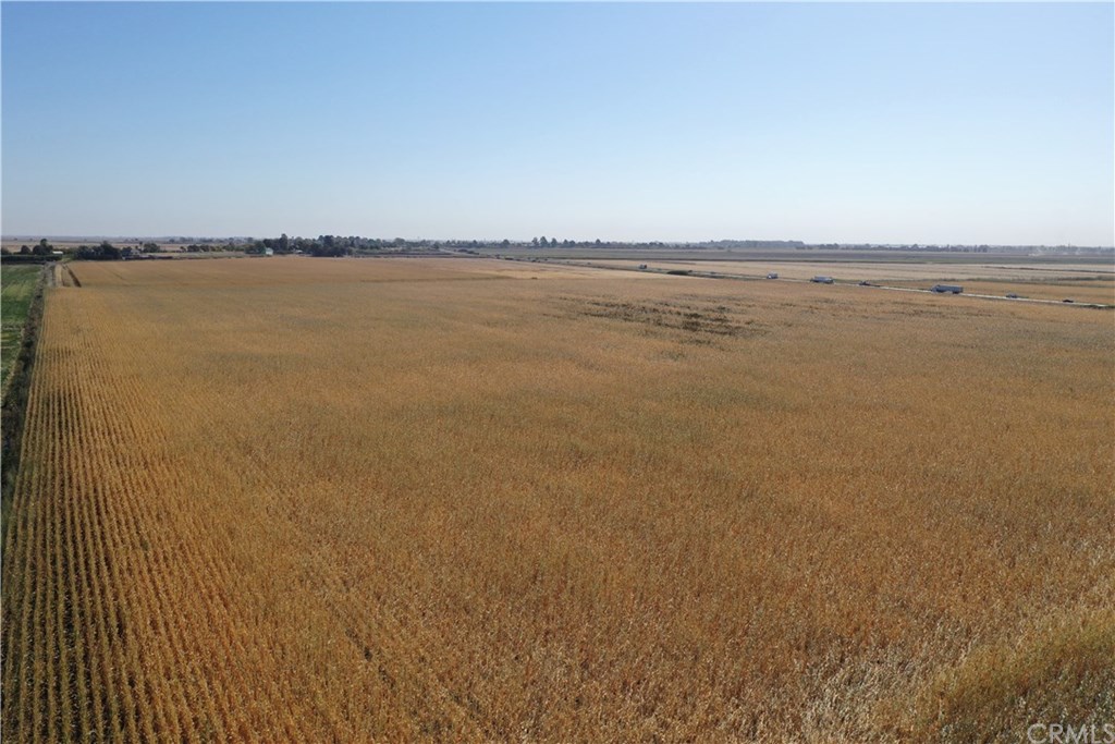 0 Terminous Road Isleton, CA 95641 - Photo 3 of 6