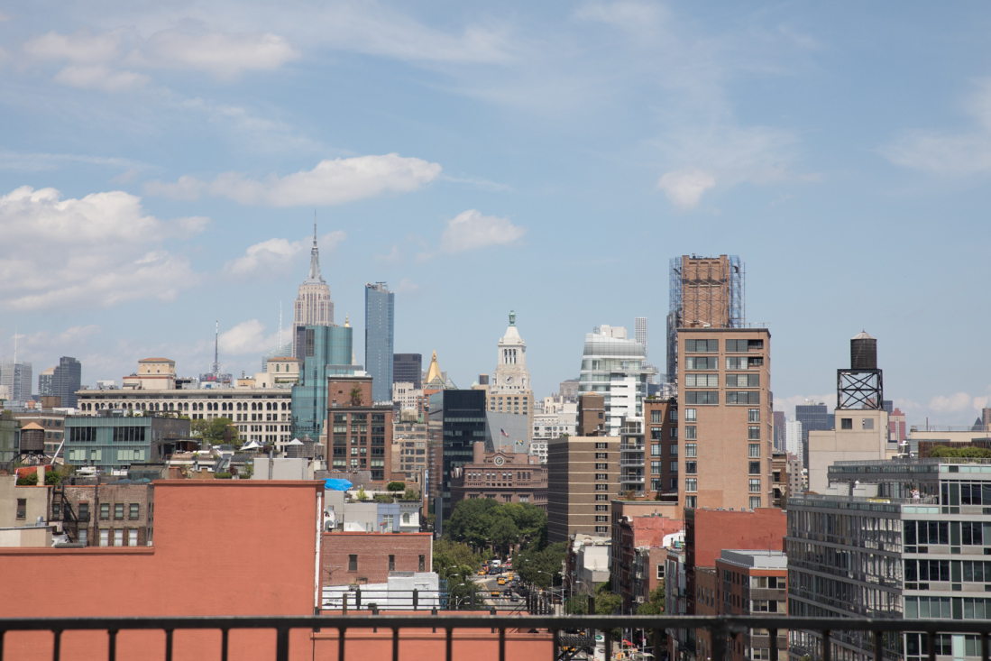 250 Bowery, Unit PHB Manhattan, NY 10012 - Photo 11 of 18