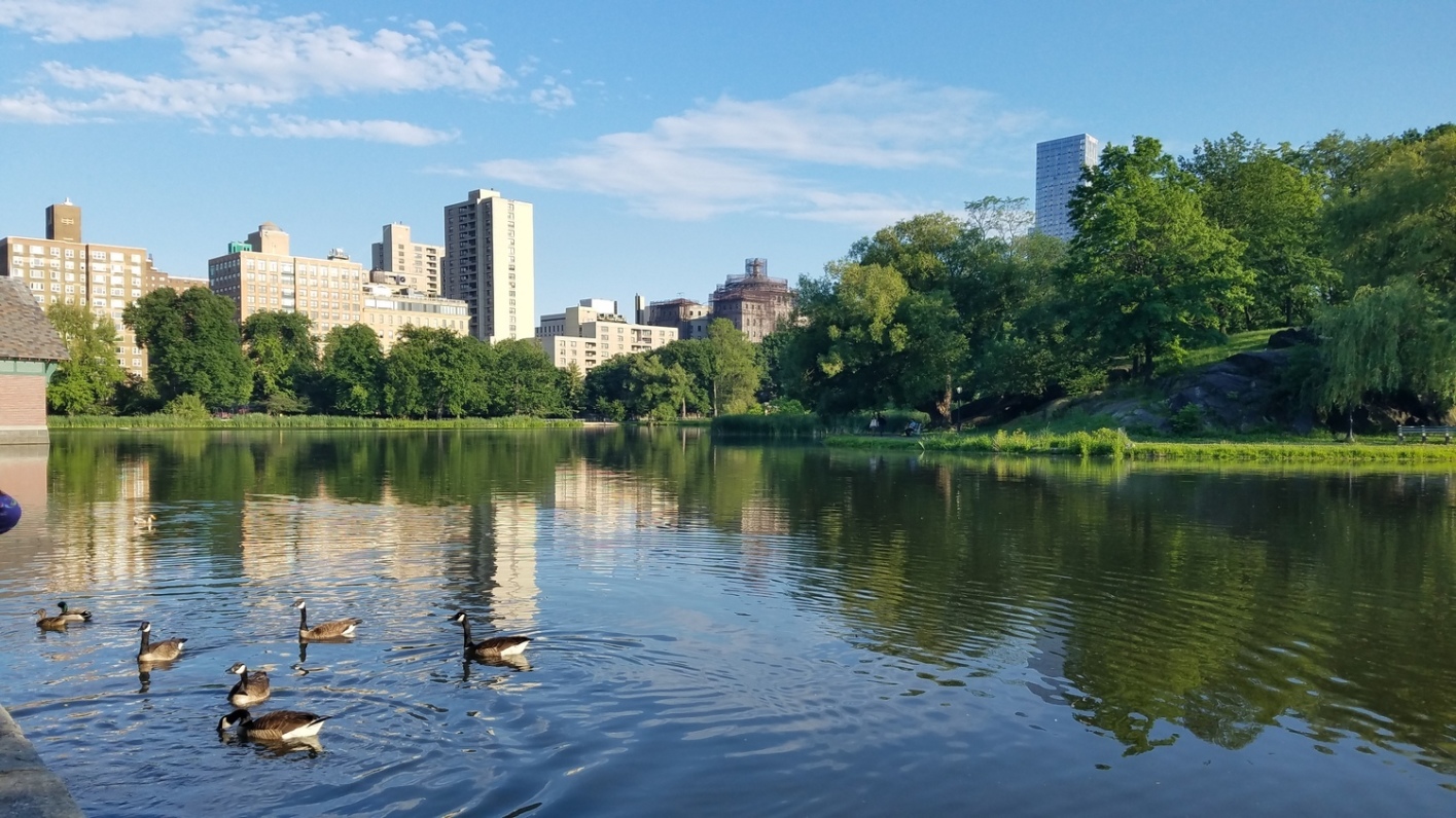 Kalahari 40 W 116th St, Manhattan, NY 10026 - Photo 32 of 32