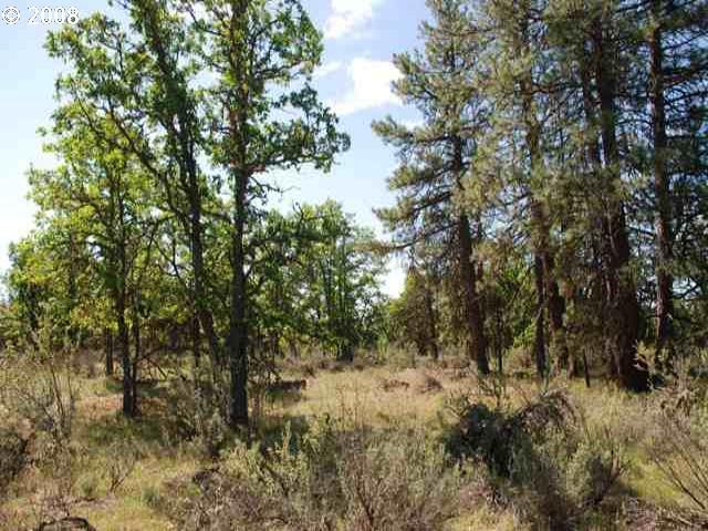 Old Stage Road Goldendale, WA 98620 - Photo 15 of 16 Gallery Image 15