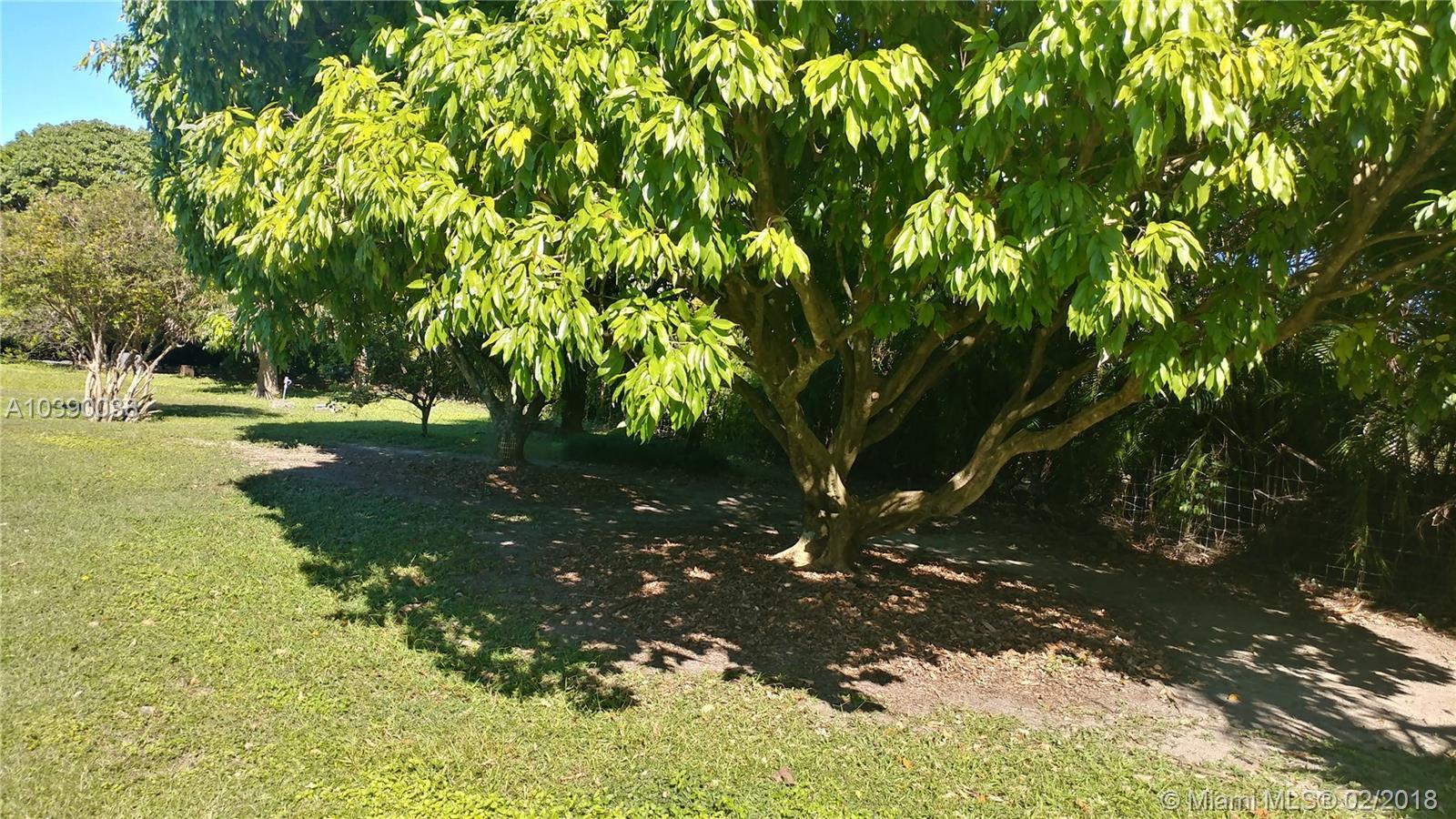 19501 Southwest 236th Street Homestead, FL 33031 - Photo 3 of 19