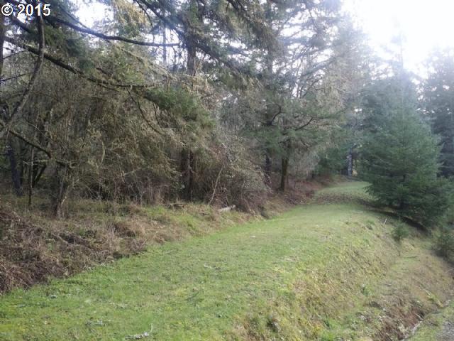 601 Fir Vista Road Sutherlin, OR 97479 - Photo 2 of 16 Gallery Image 2