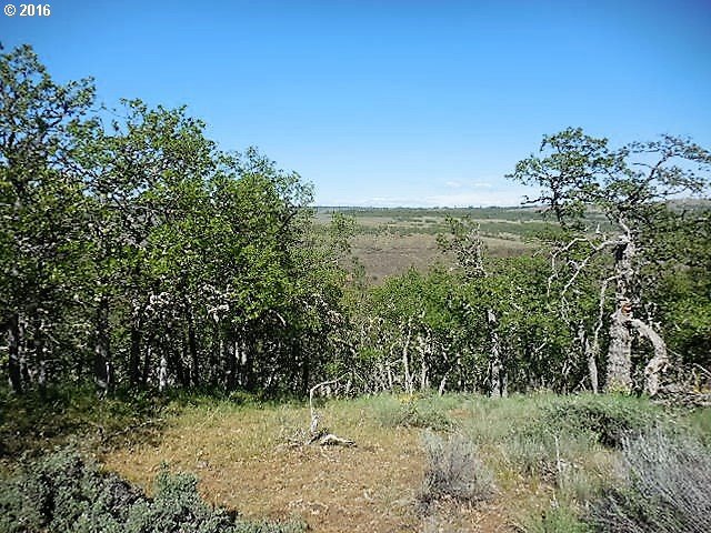 Ownby Road Goldendale, WA 98620 - Photo 10 of 20 Gallery Image 10