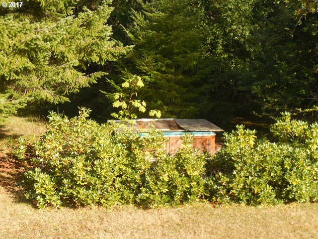 1201 Trout Creek Road Carson, WA 98610 - Photo 11 of 32 Gallery Image 11