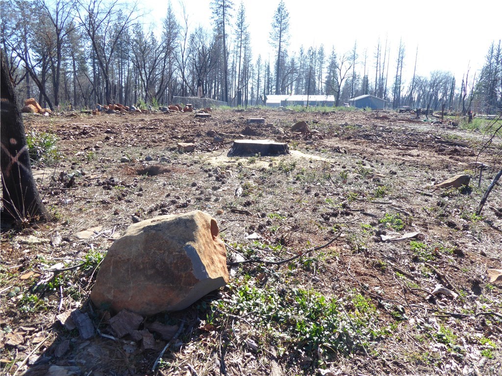 866 Central Park Drive Paradise, CA 95969 - Photo 8 of 10