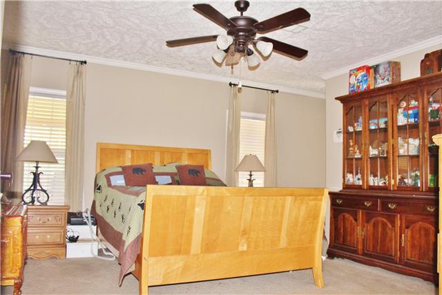 133 Pleasant View Ridge Road Indian Mound, TN 37079 - Photo 16 of 28 MASTER BEDROOM