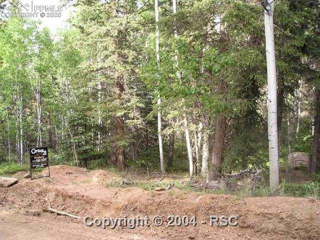84 Mt Elbert Road Florissant, CO 80816 - Photo 1 of 1 Gallery Image 1