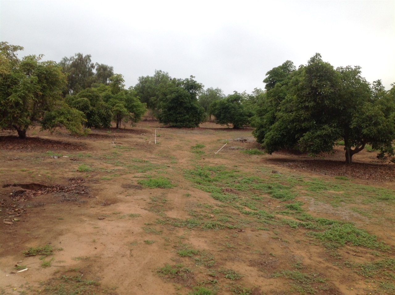99999 Morro Hills Road Fallbrook, CA 92028 - Photo 12 of 20