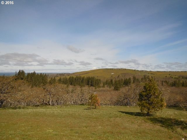 30 Stacker Butte Road Lyle, WA 98635 - Photo 21 of 24 Gallery Image 21