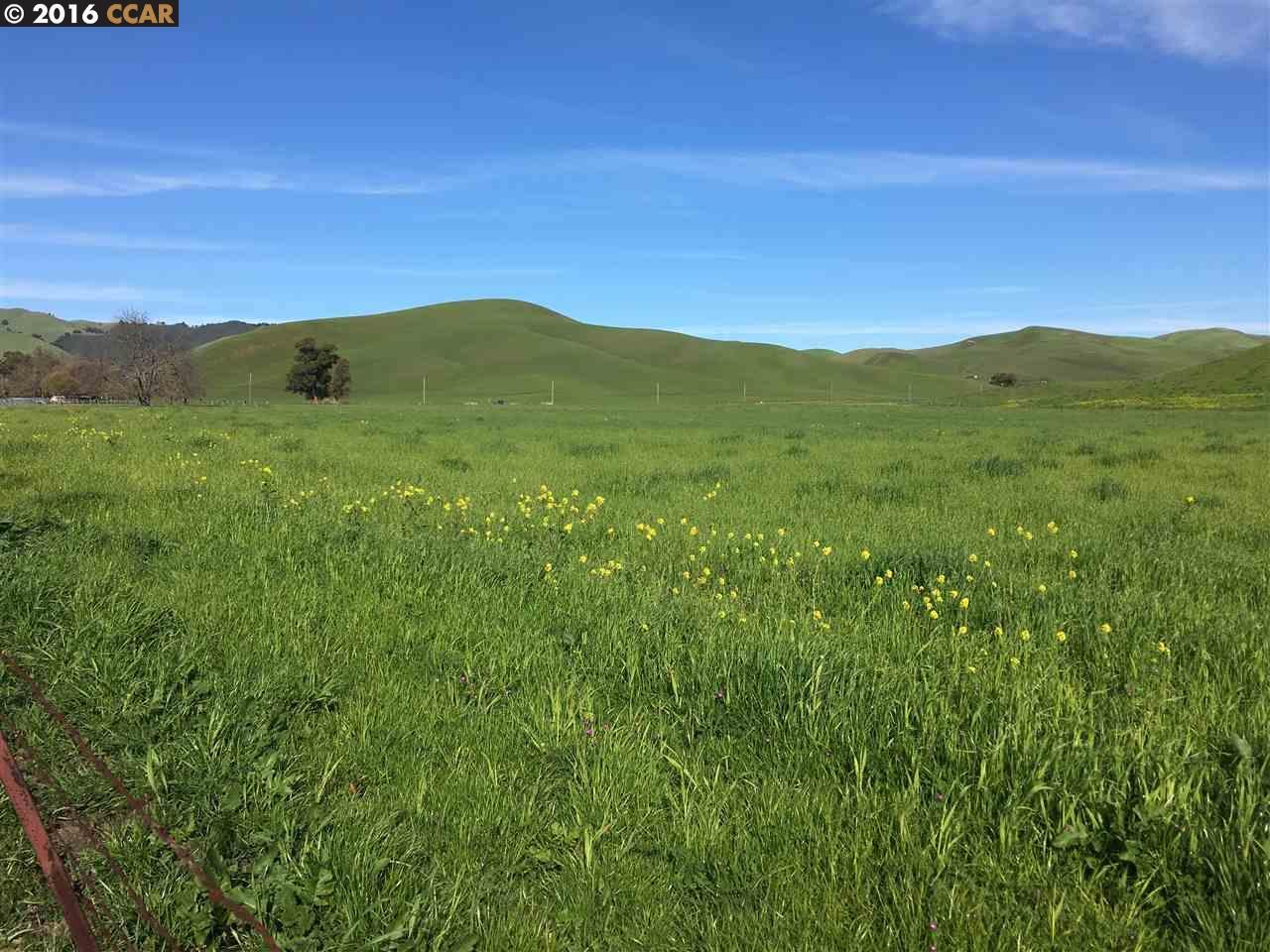8 Highland Road Livermore, CA 94551 - Photo 1 of 1