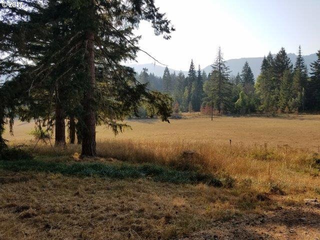 1070 Denn Road Camas Valley, OR 97416 - Photo 29 of 32