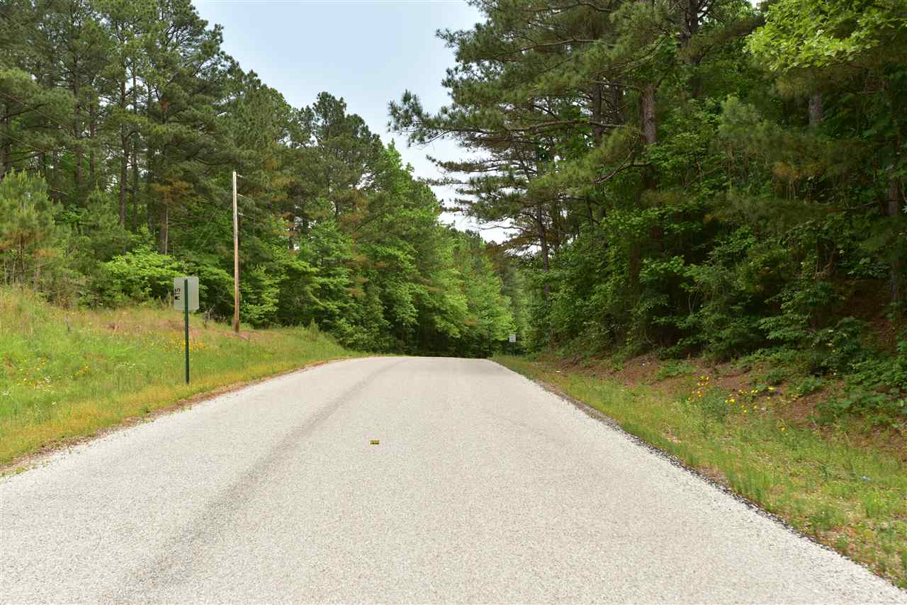 134 Hamilton Road Walnut, MS 38603 - Photo 8 of 18 Gallery Image 8