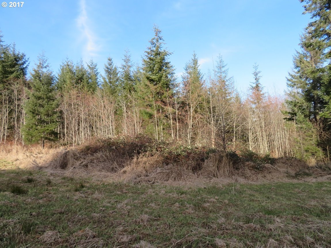 Cousins Road, Unit 3 Chehalis, WA 98532 - Photo 22 of 32