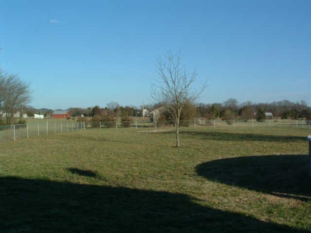 1095 Anderton Road Bell Buckle, TN 37020 - Photo 5 of 7 View of huge fenced back yard from patio.