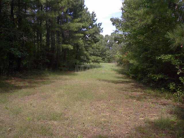 543 Strickland Road Byhalia, MS 38611 - Photo 4 of 4 Gallery Image 4