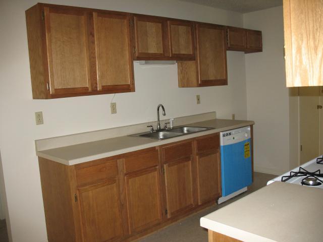 925 Rich Road Somerville, TN 38068 - Photo 4 of 6 new dish washer