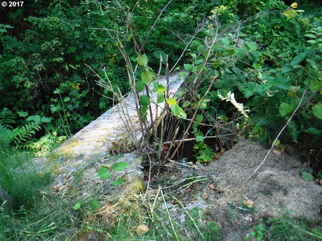 576 Upper Smith River Road Drain, OR 97435 - Photo 27 of 32 Gallery Image 27