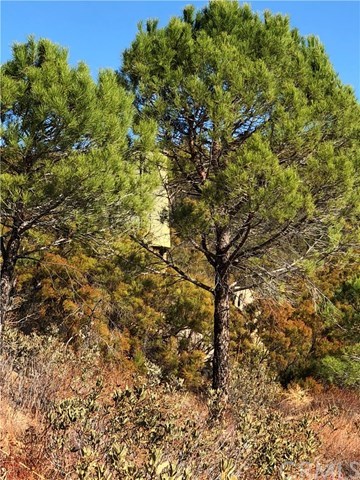 0 Rock Canyon Road Anza, CA 92539 - Photo 8 of 10