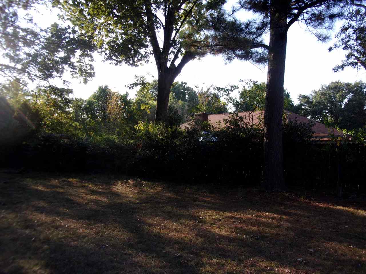 5847 Knight Arnold Road Memphis, TN 38115 - Photo 6 of 18