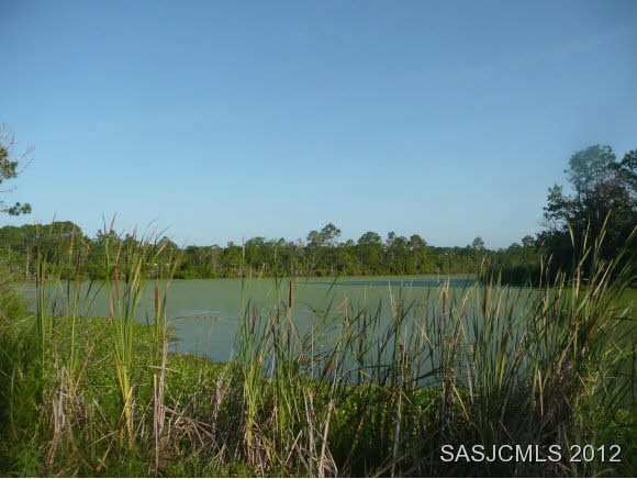 0 Race Track Road St. Augustine, FL 32084 - Photo 14 of 17 Gallery Image 14