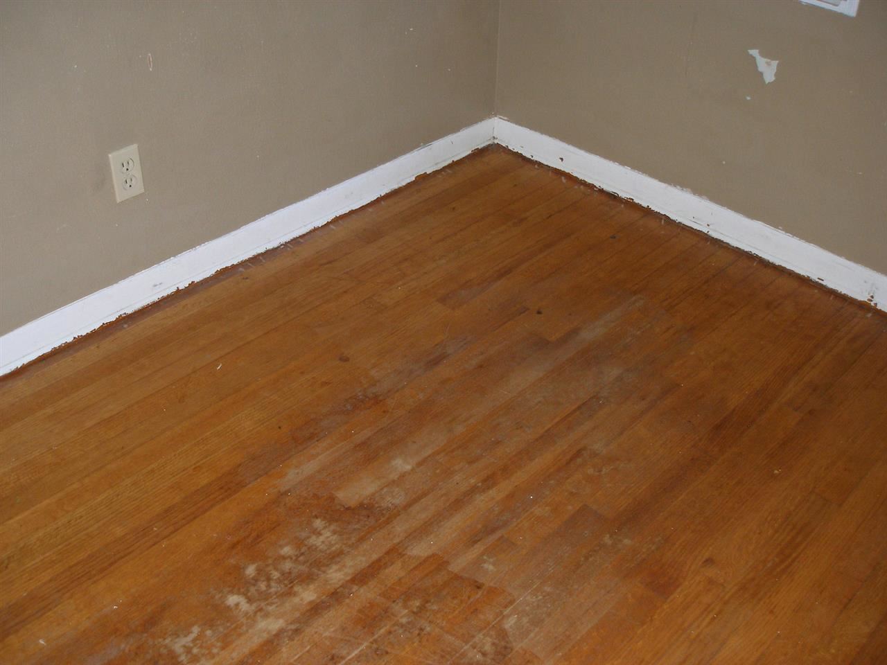 1758 Sea Isle Road Memphis, TN 38117 - Photo 14 of 16